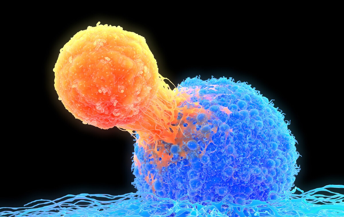 老年人每天服用一片5mg叶酸行吗,老年人补充叶酸和b12应注意什么