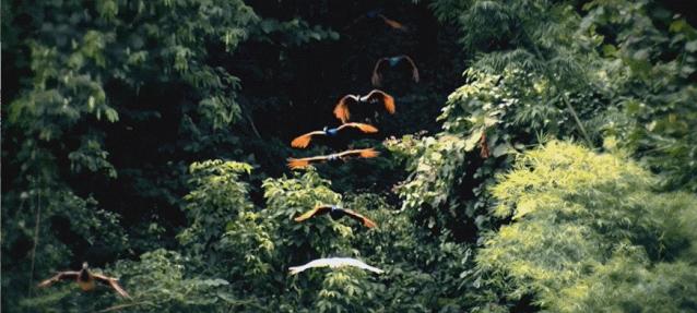 粮食不能自给的难题,中国粮食命脉