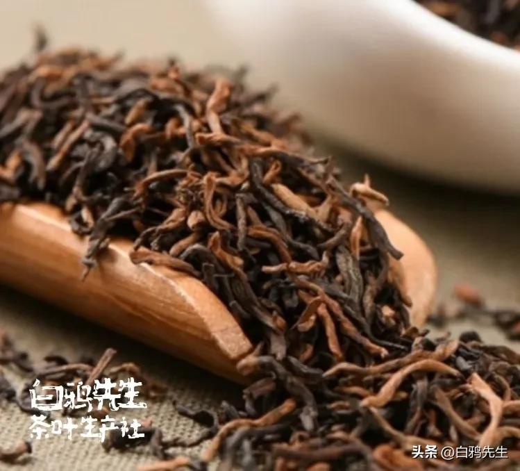 你好!认识一下，我叫“普洱茶”