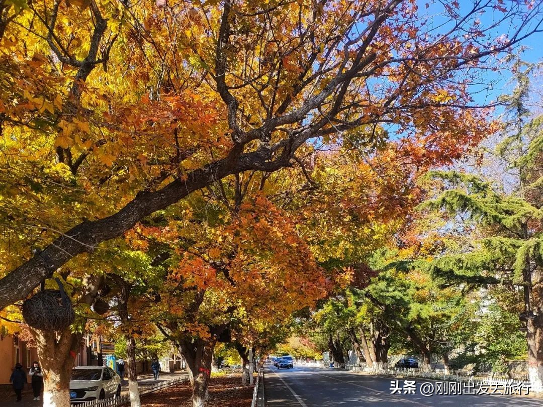 大连旅顺口景区旅游景点,抚顺旅顺太阳沟景区一日游
