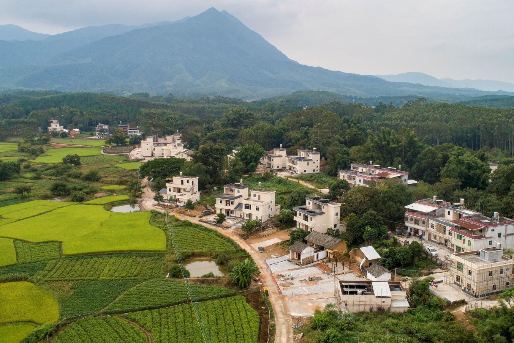 落榜的高中生李忠达