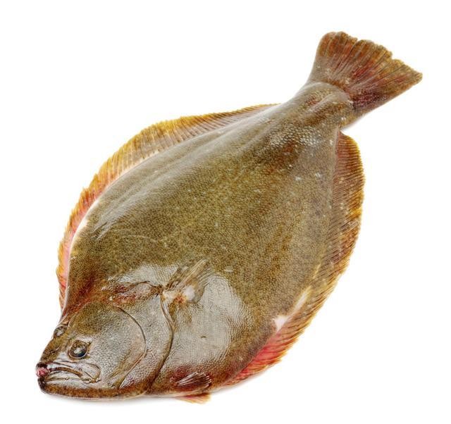 最常见的50种食用鱼吃法和价格,十种常用食用鱼类介绍