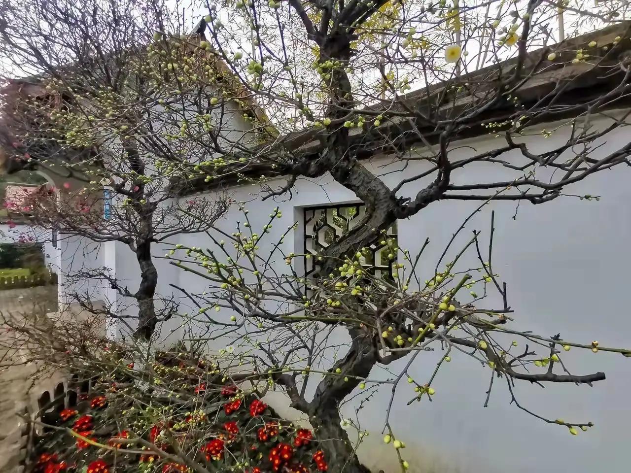 七绝春日二首原创,春日七绝诗十首