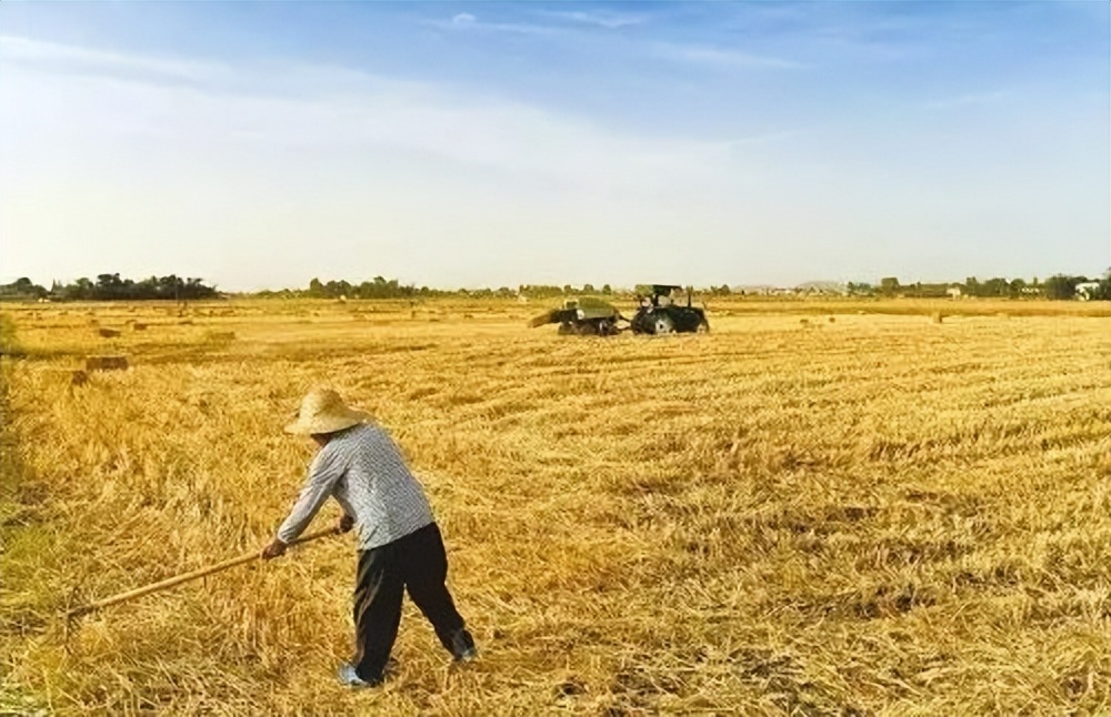 完善农业补贴政策保障农民种粮,实际种粮农民补贴政策