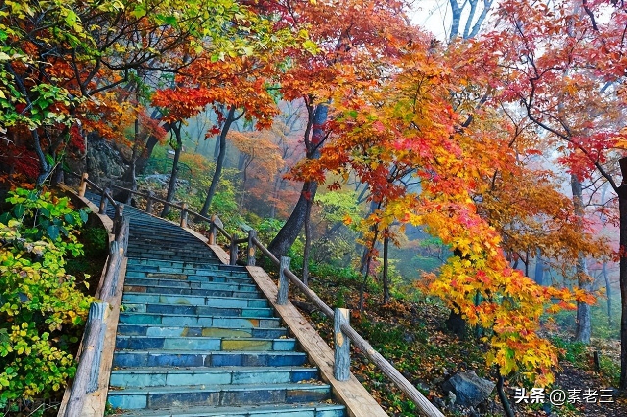 女作家去做保姆651,女作家去做保姆剧情