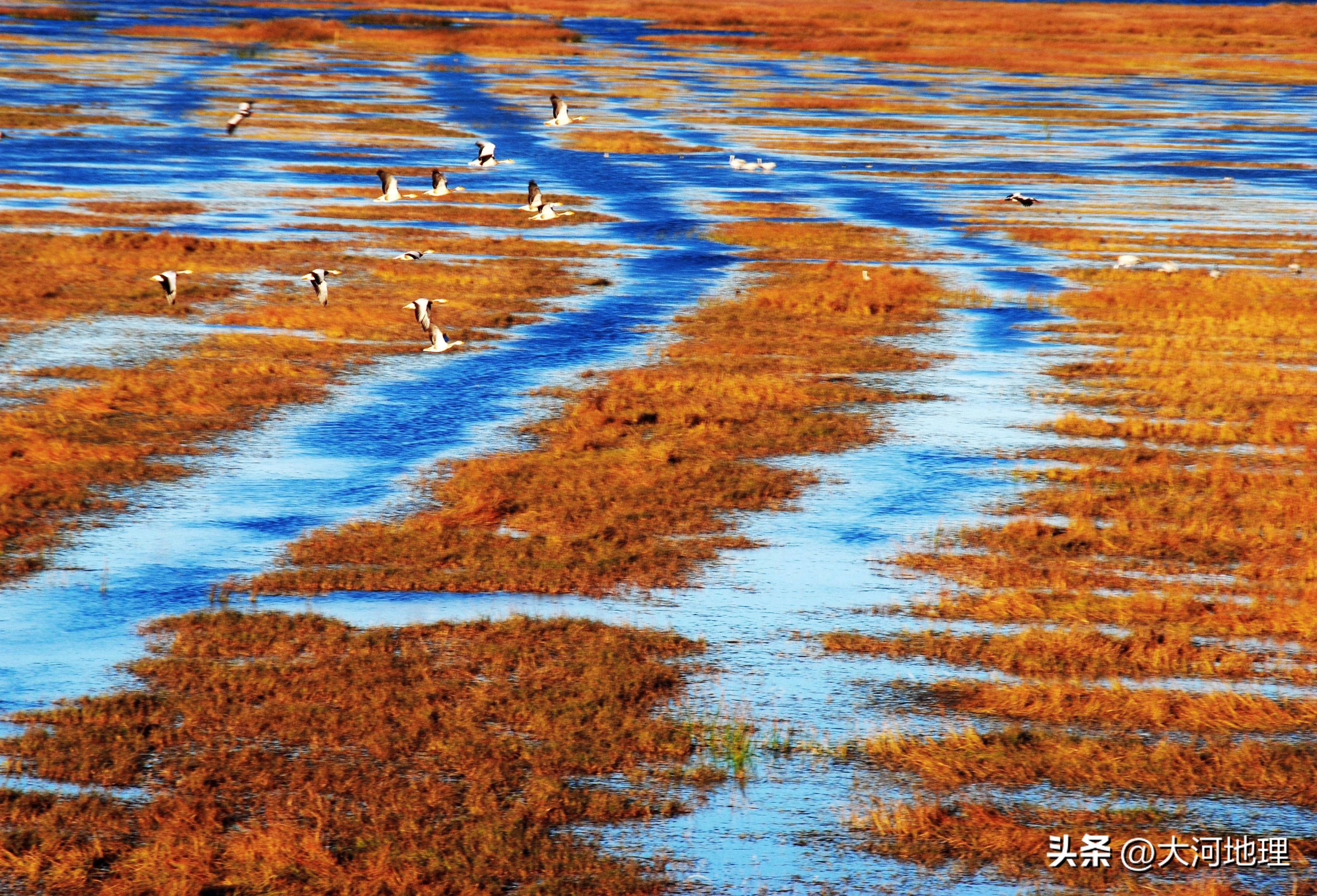 旅游攻略国内十大必去景点南方,中国南方著名景点