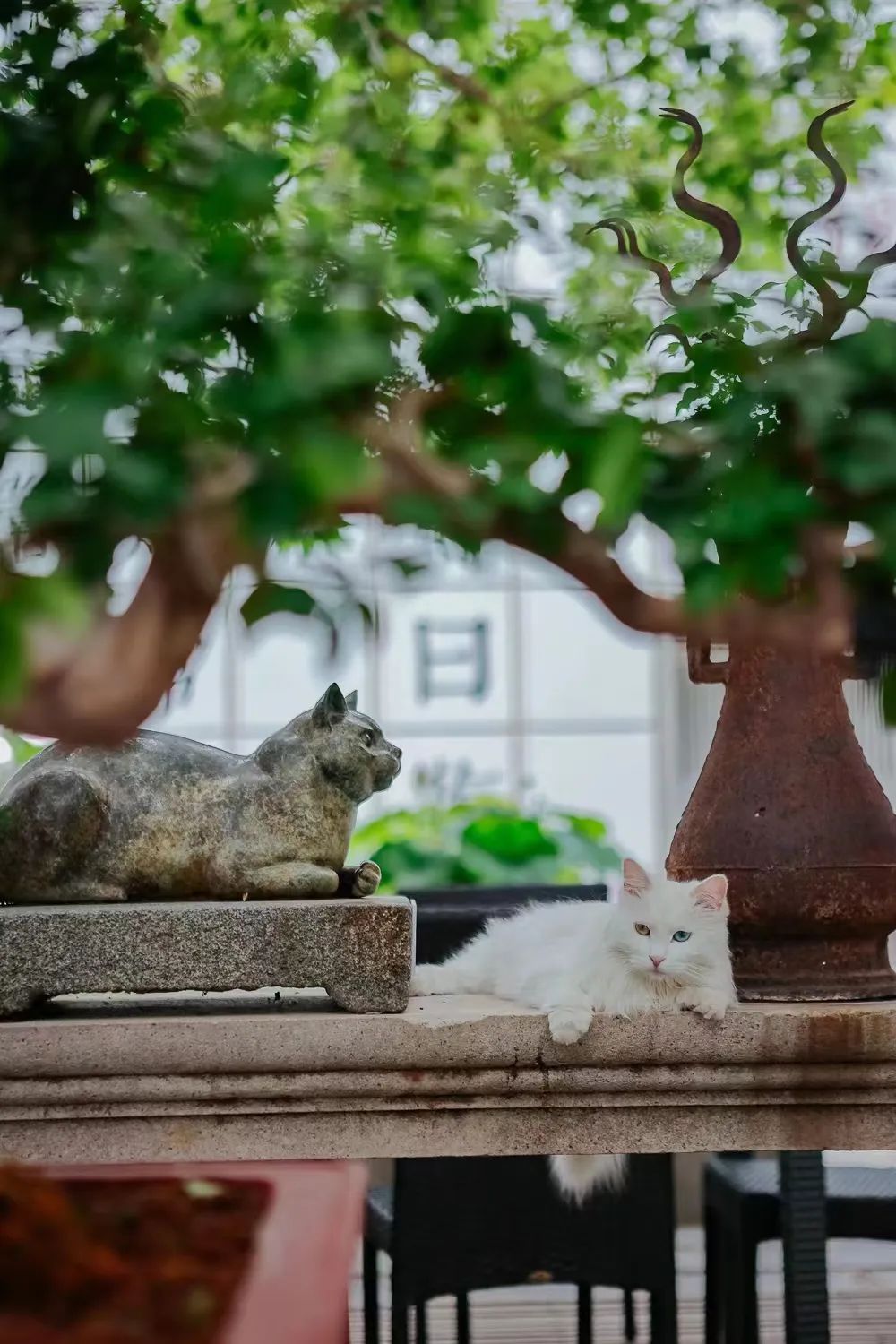 赵明明：上班摸鱼，是我的梦想!
