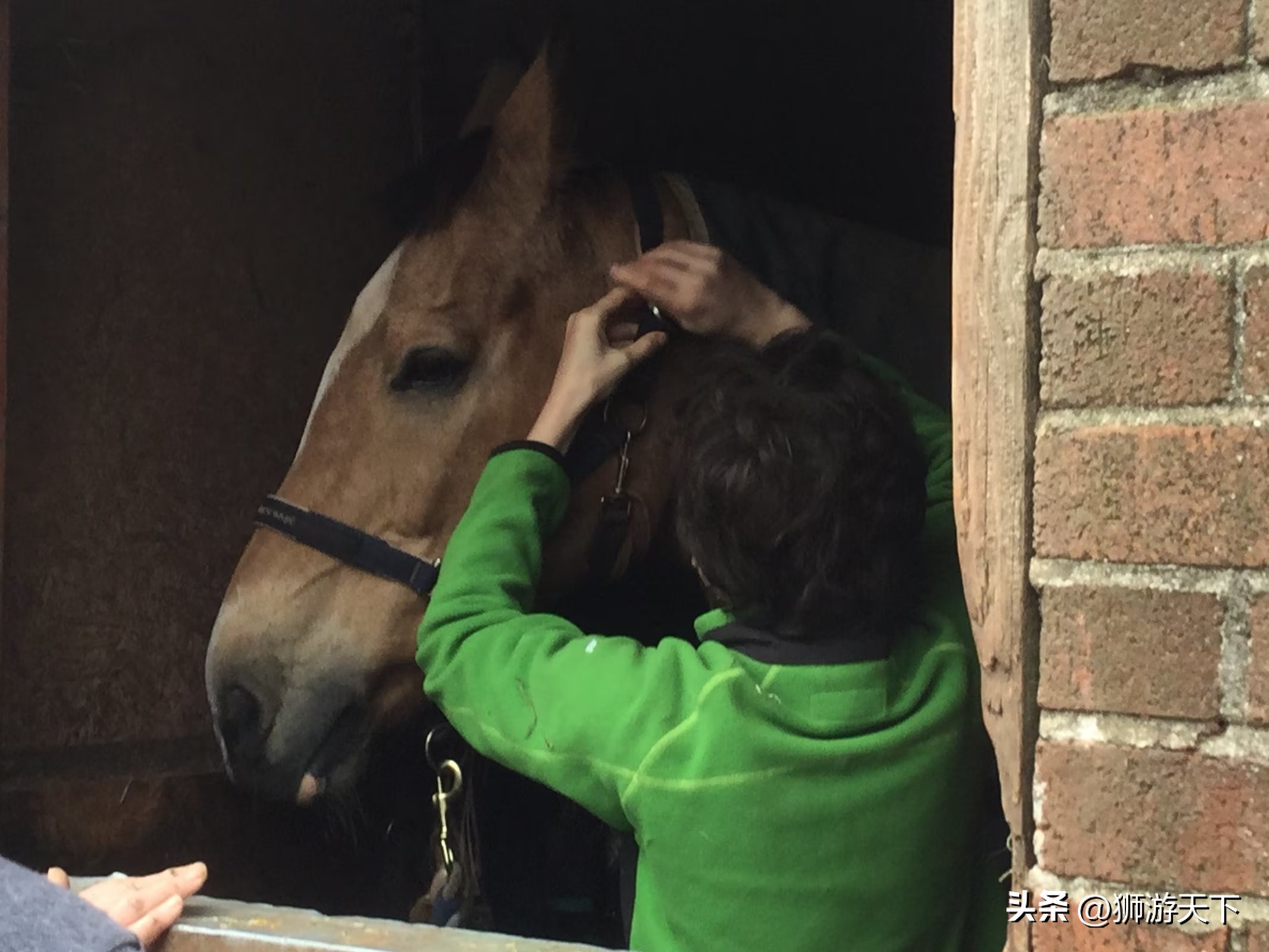 英国陪读活动,英国陪读的日常
