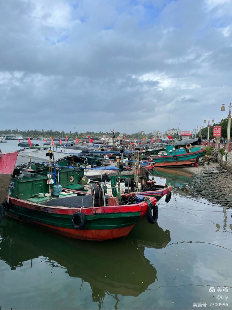 去临高县溜达,去海南溜达一圈