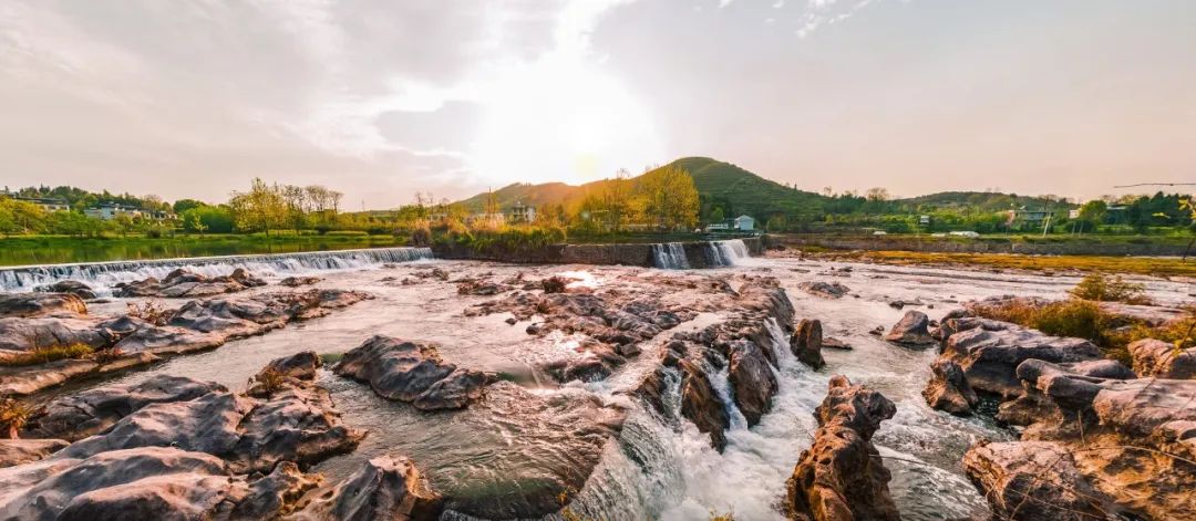 到咸宁看国宝过大年,离家45年的国宝回湖北咸宁过年