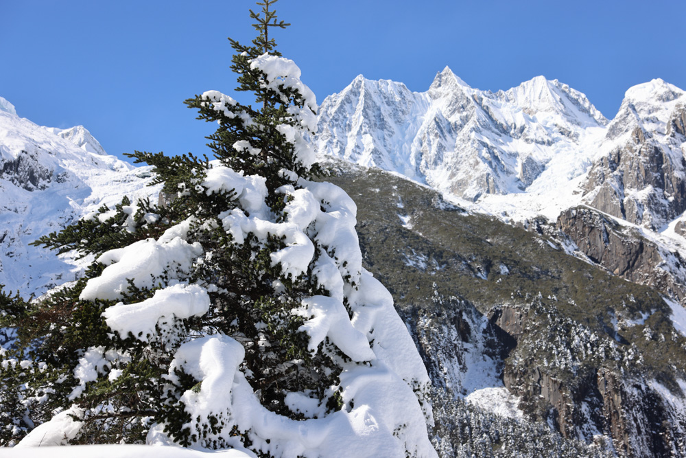海螺沟里面的景区,海螺沟雪山山顶介绍