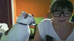 当你亲吻猫咪时它在想什么,情侣亲吻猫咪在想什么