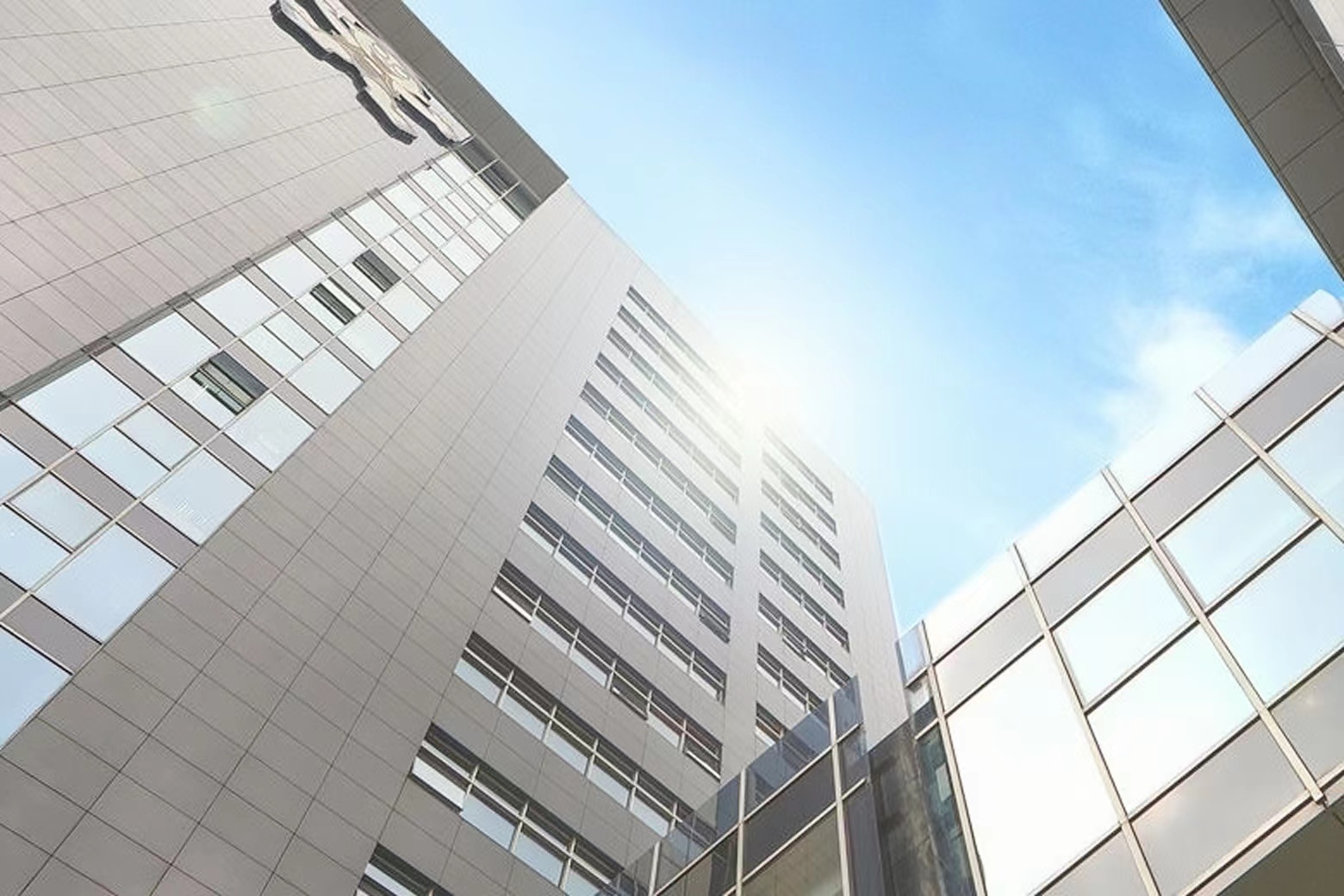 什么是旺旺号呢,什么是旺旺事业