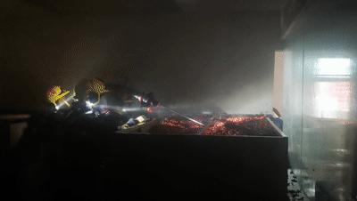 辣椒着火,辣椒厂起火视频