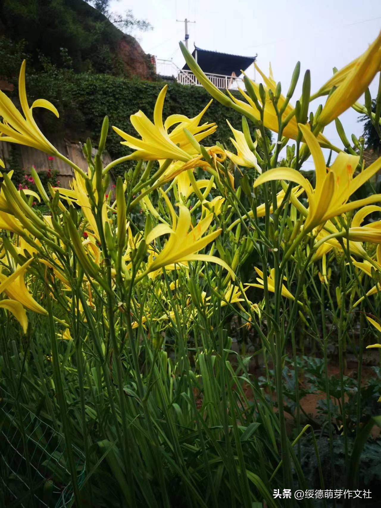 绥德李强国：从高舍硷到高石角