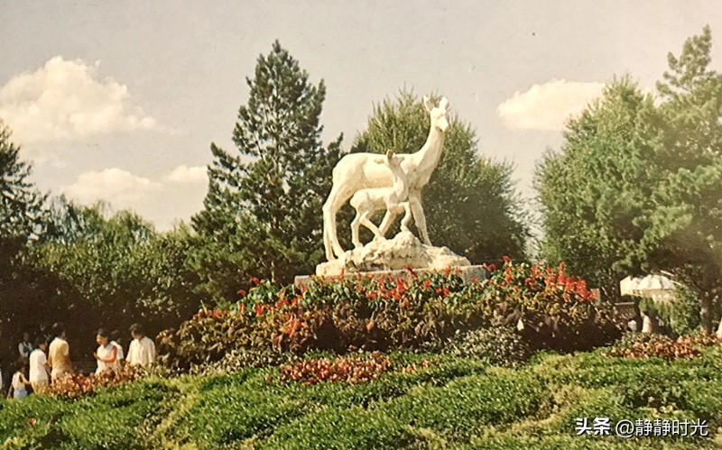 80年代哈尔滨老照片,哈尔滨八十年代文化公园