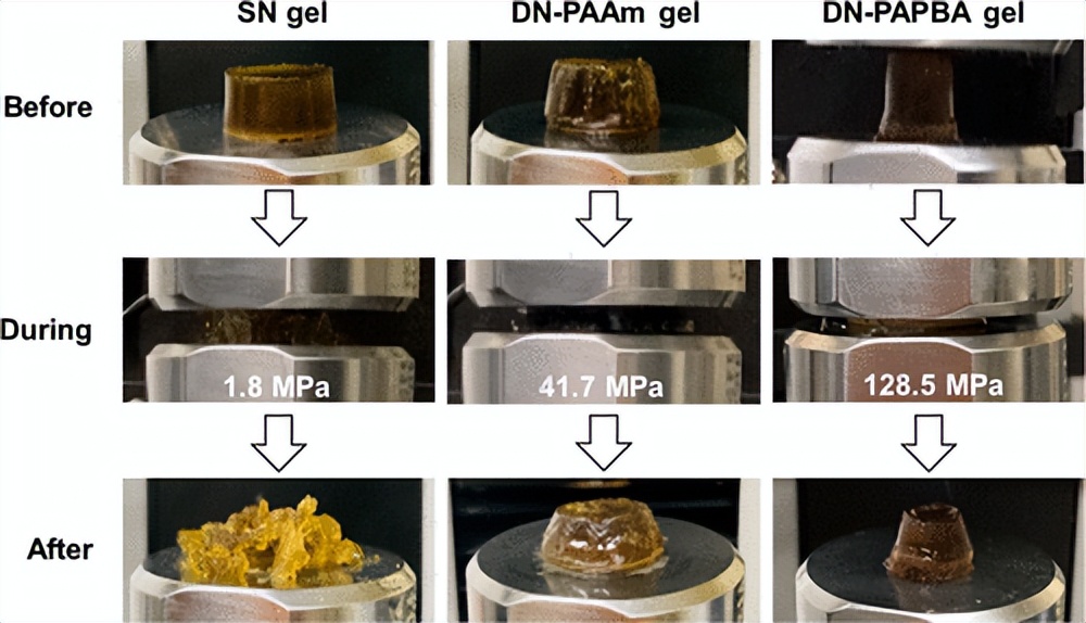 双重聚合的坚韧抗菌金属聚合物双网络水凝胶
