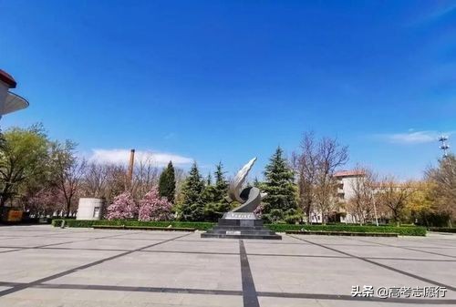 今年华电就业情况,华电能源动力就业前景