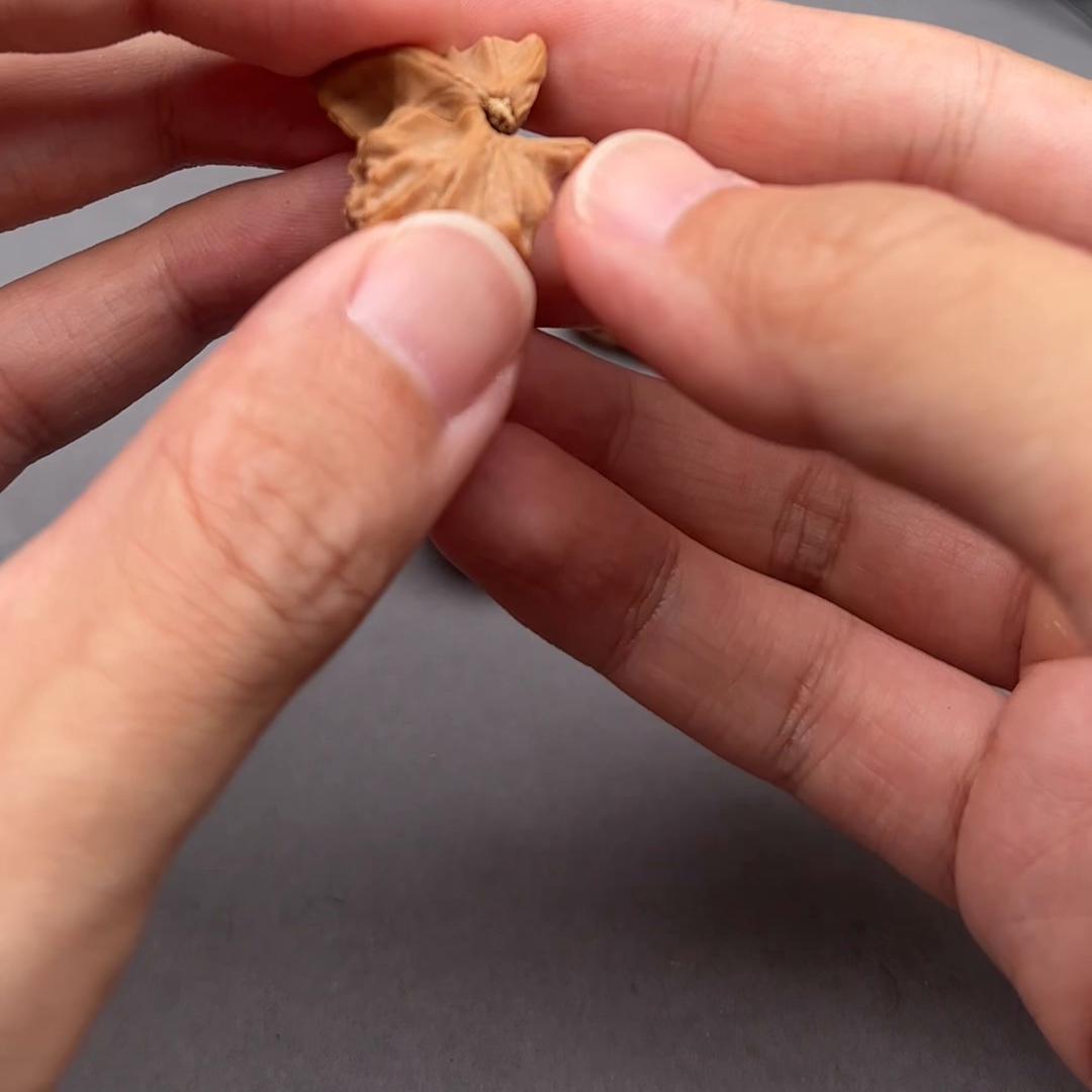 新核桃封脐好还是封闭好,核桃封底好还是不封好