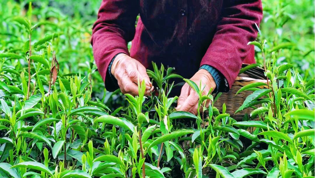 神秘湘西走个春在家吃自助烧烤,神秘湘西走个春