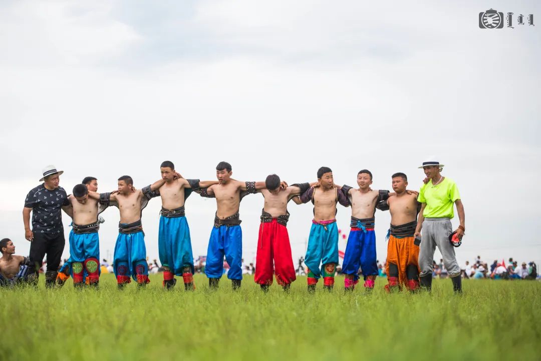 呼伦贝尔草原举办大型活动,内蒙古呼伦贝尔大草原举行活动