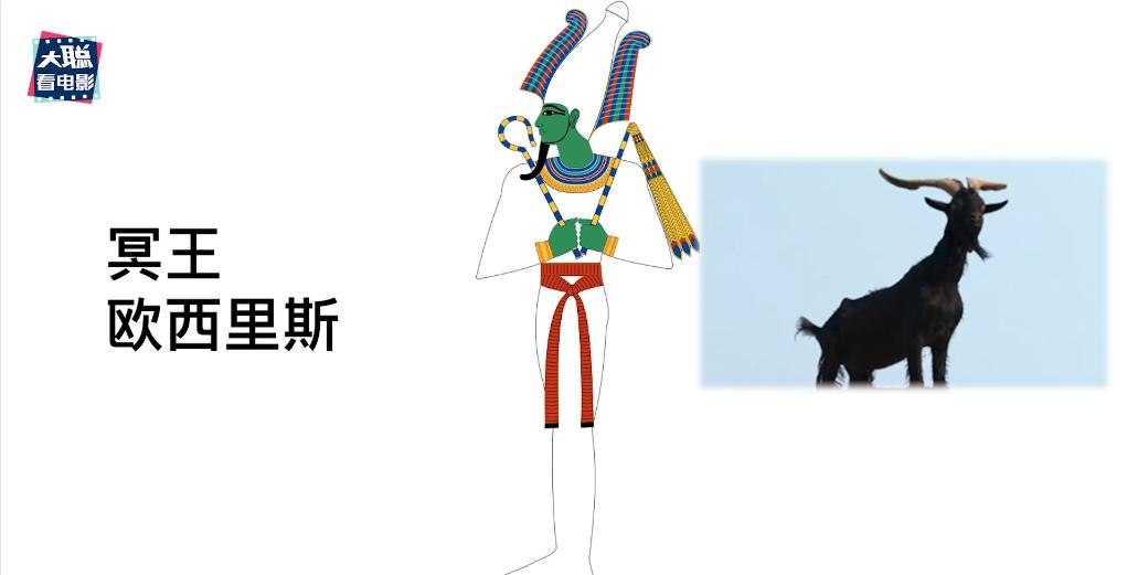 鏈堝厜楠戝＋椹厠涓庡彶钂傛枃,鏈堝厜楠戝＋椹彲