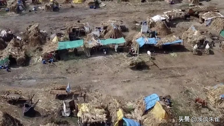 19年记者收集一大证据，揭露印度女性为满足老板，全部被“阉割”