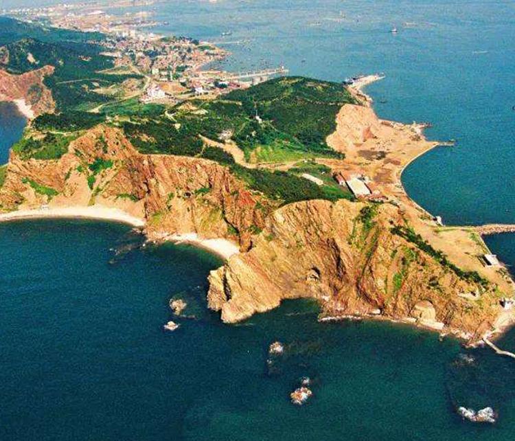 人参扶正,人参补气固脱