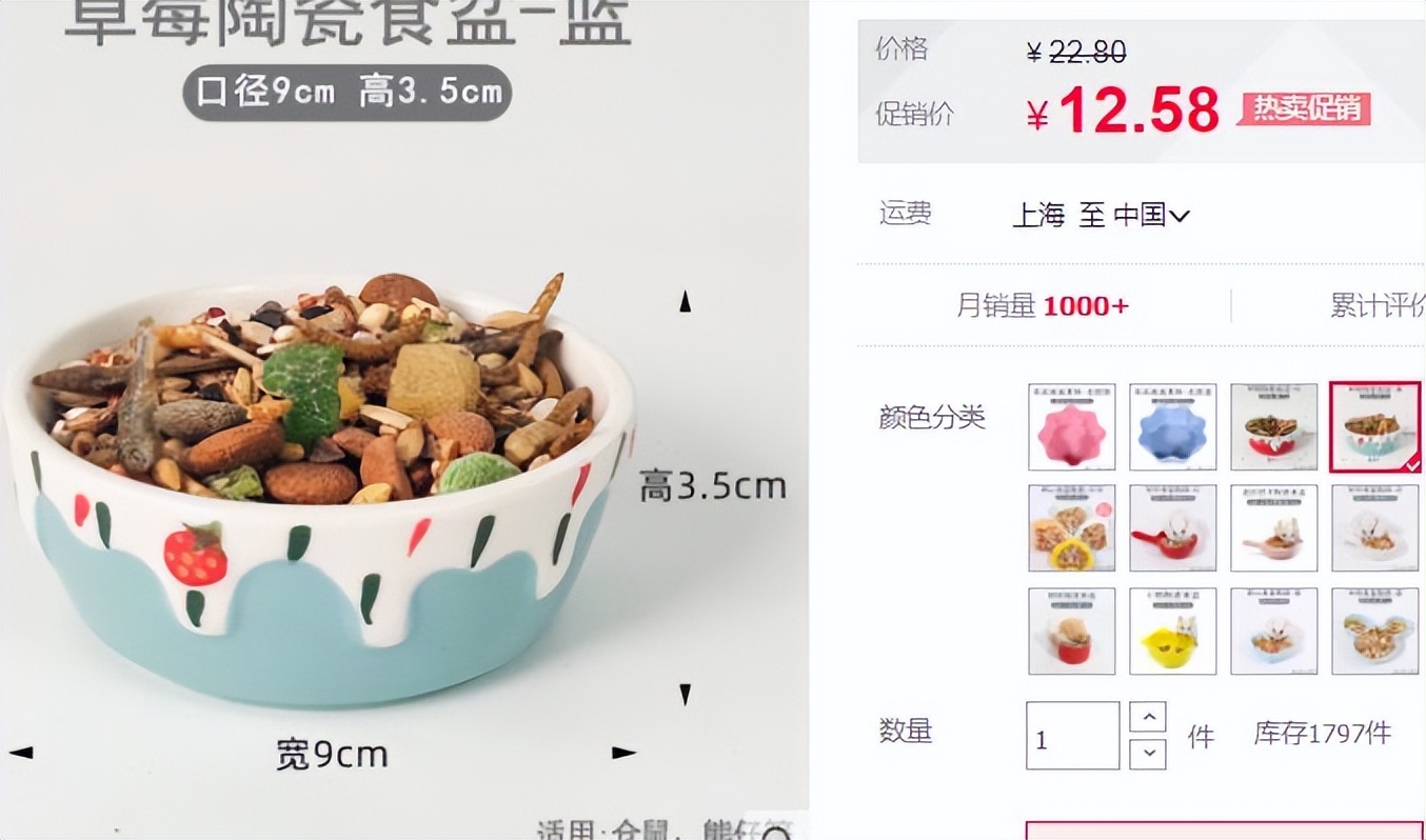 新手怎么养仓鼠教程,新手如何正确养仓鼠