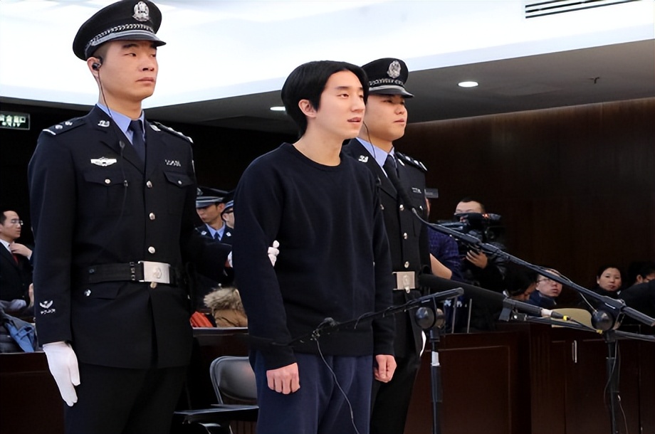 同样是成龙基因，把林凤娇儿子和吴绮莉女儿一对比，差距就出来了