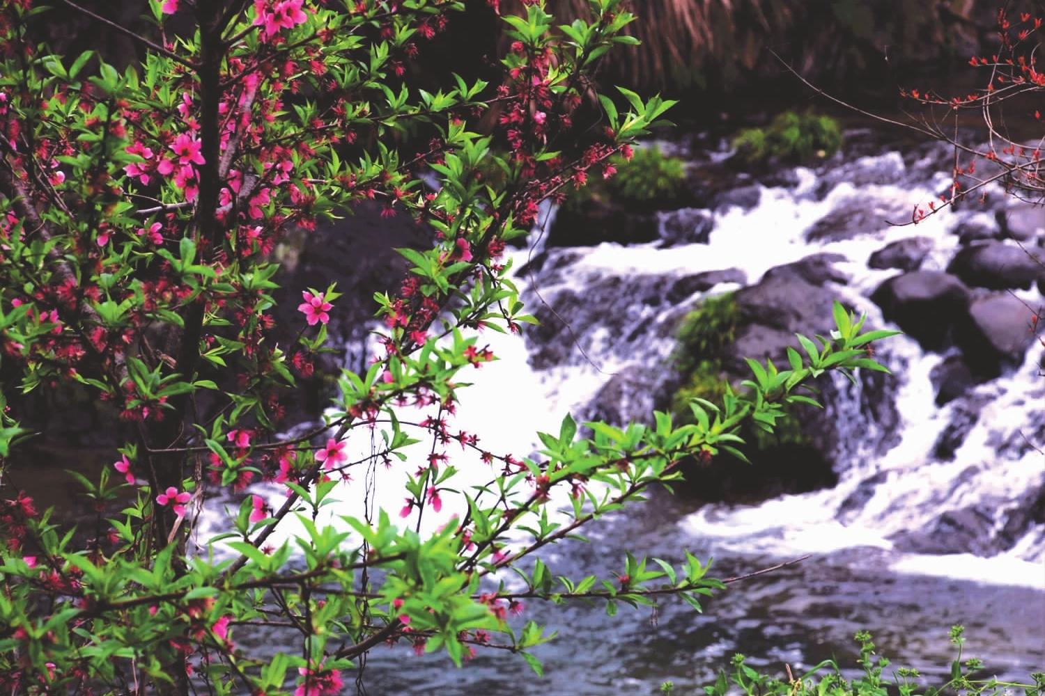 长知识诗仙李白十大经典诗词名篇,李白千古传诵十首诗