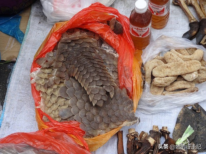 小勐拉到金三角有多远,从缅甸小勐拉走国门回去的流程