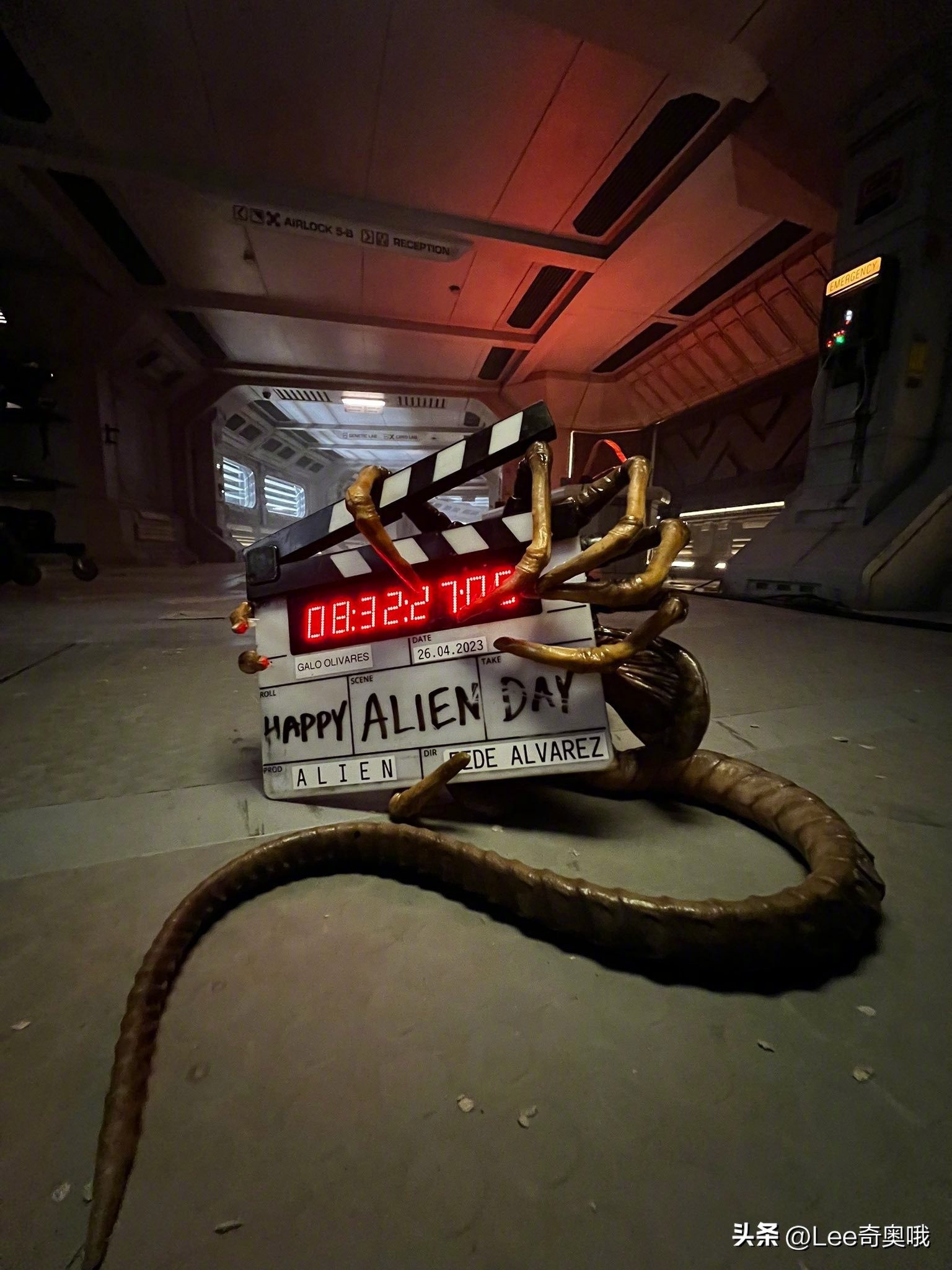 异形罗慕路斯开拍,异形罗慕路斯免费观看完整版