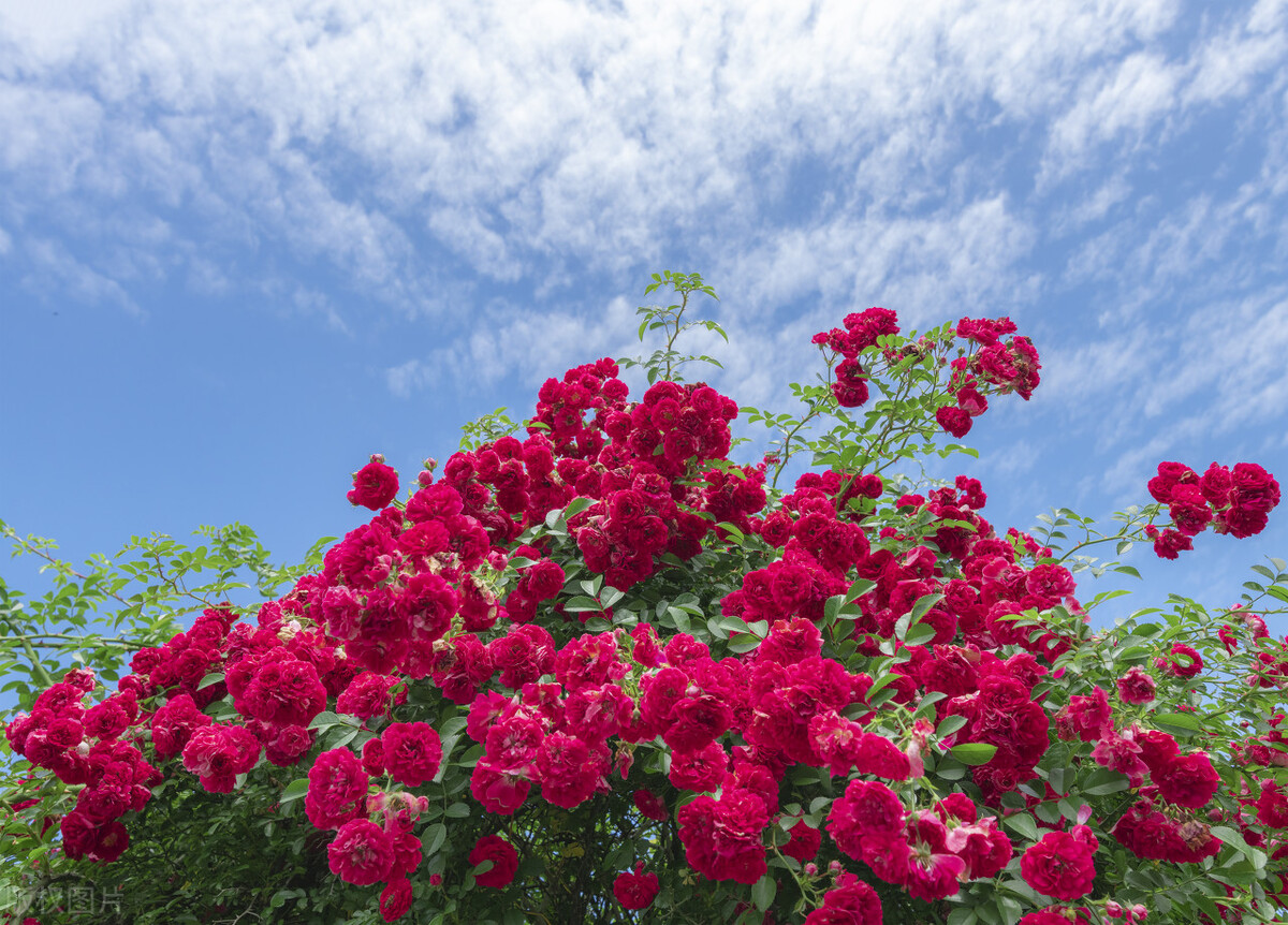赚钱商机好项目,云南最适合投资的项目