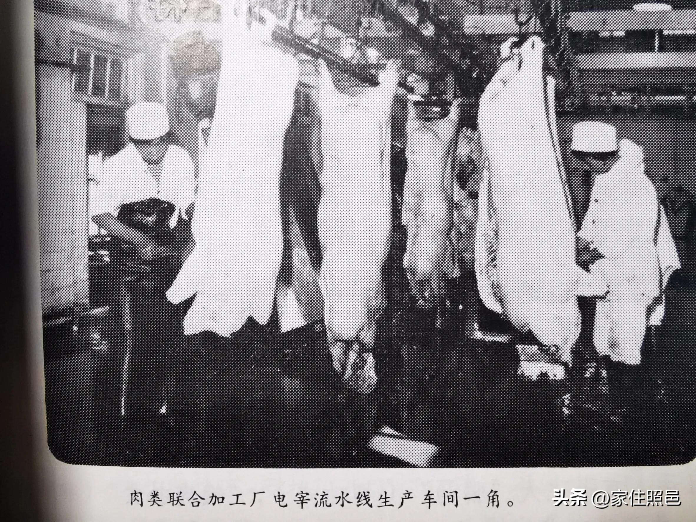 日照旅游攻略,日照天气