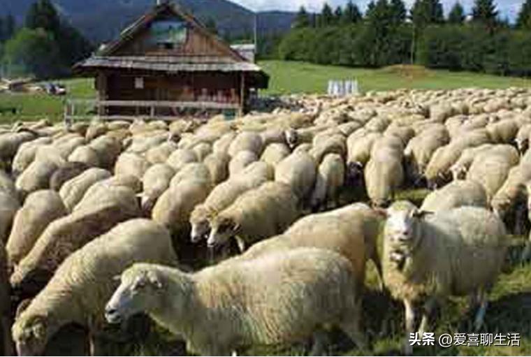 “阳康”后要注意，牢记“1不碰2不做3不丢4要吃”平稳度过恢复期