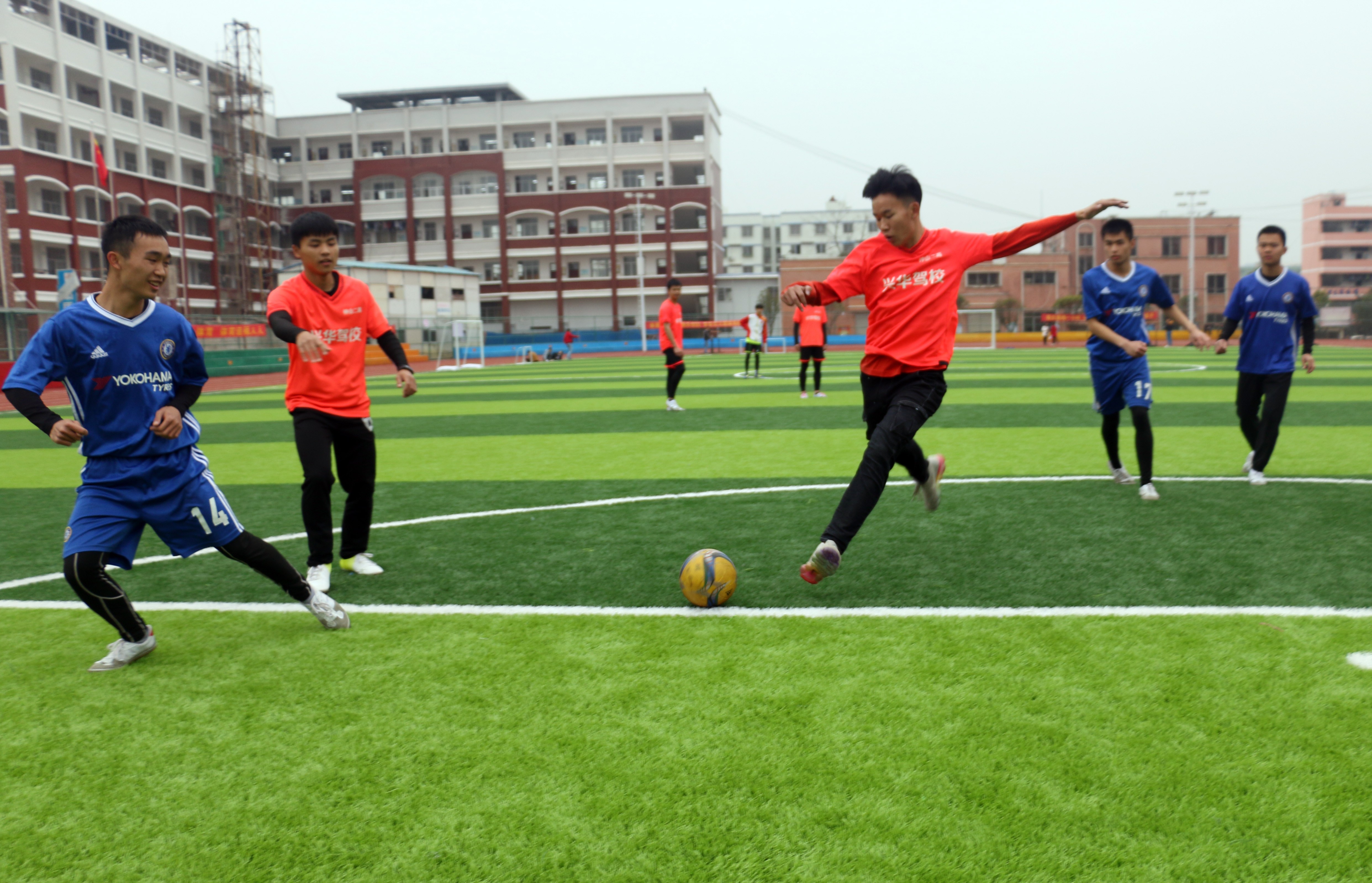 五育并举迎新春,五育并举全面成长促发展