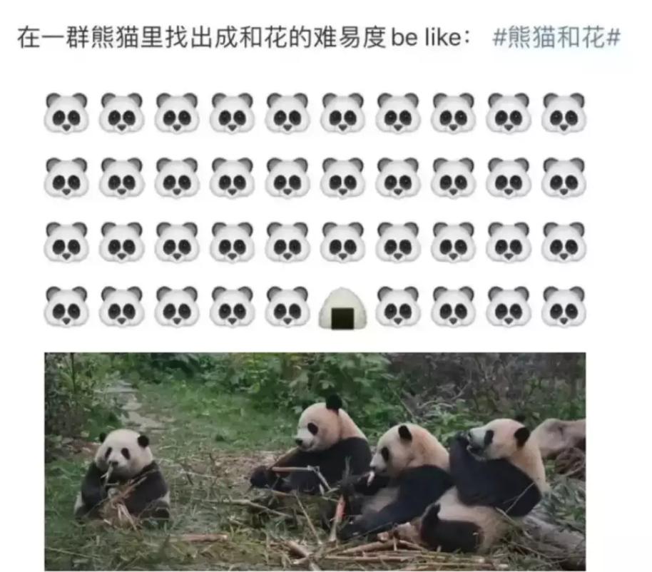 丫丫目前回国的样子,丫丫回国是好事还是坏事