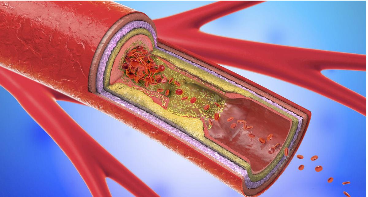 长期喝酒不喝了会怎样,天天喝点白酒对身体有什么坏处