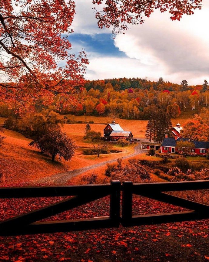 从哪可以看出一个人的城府,一眼就看出的城府