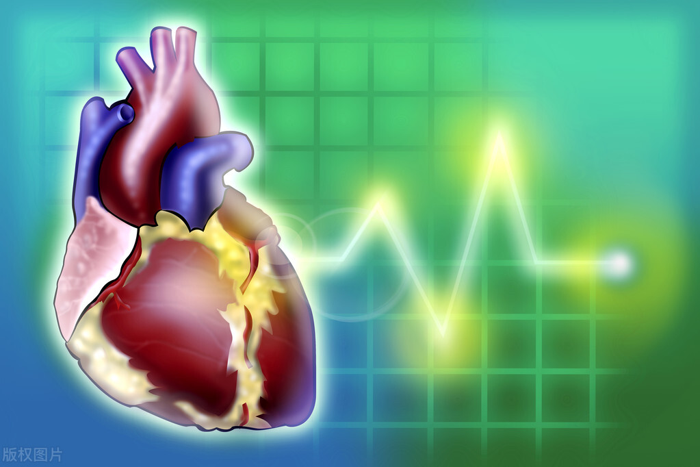 心率快慢和心率失常有没有关系,心率快慢对人的寿命有什么影响