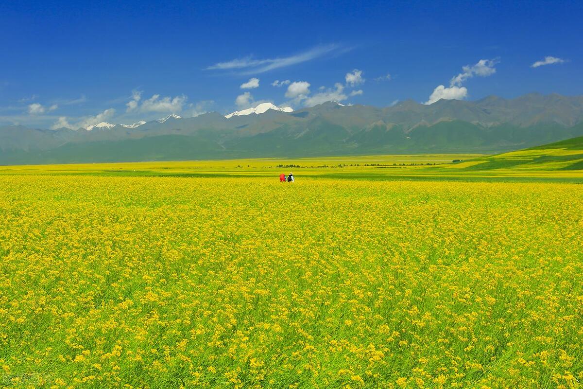 江苏劳动能力鉴定赔偿,劳动能力鉴定鉴定后如何申请赔偿