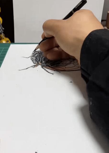 3D绘画牛人多厉害?画出真假难辨的“立体美女”,震惊500万网友