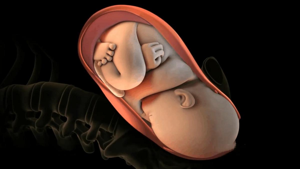 胎宝宝做b超很配合,做b超时宝宝不配合说明什么