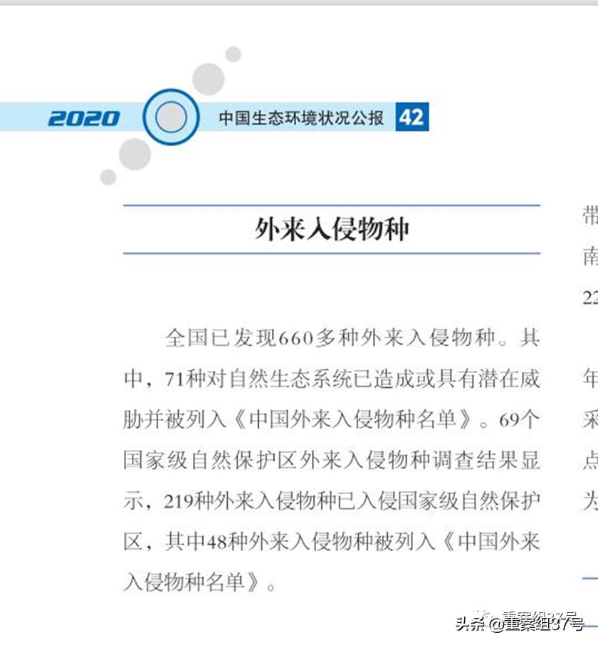 槌勯泙槌濊瀹氫负澶栨潵鐗╃,槌勯泙槌濊缃戝簵鎹㈠悕鍞崠