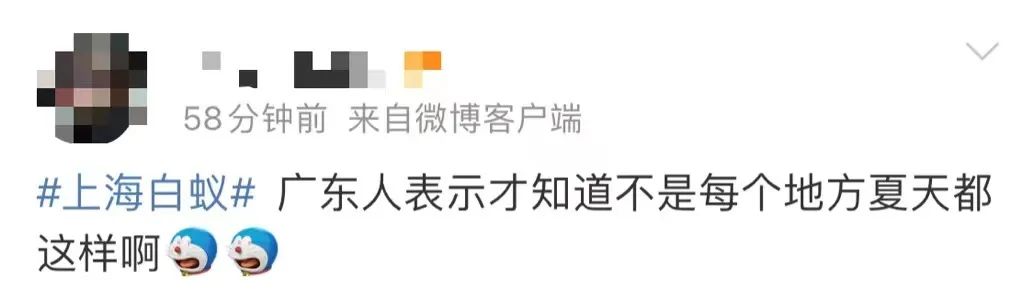 上海白蚁最新通报,最新上海遇白蚁事件