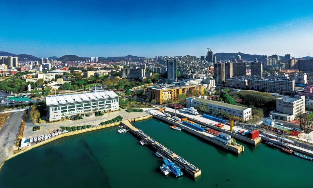 择校大学211985,东北育才学校2023高考