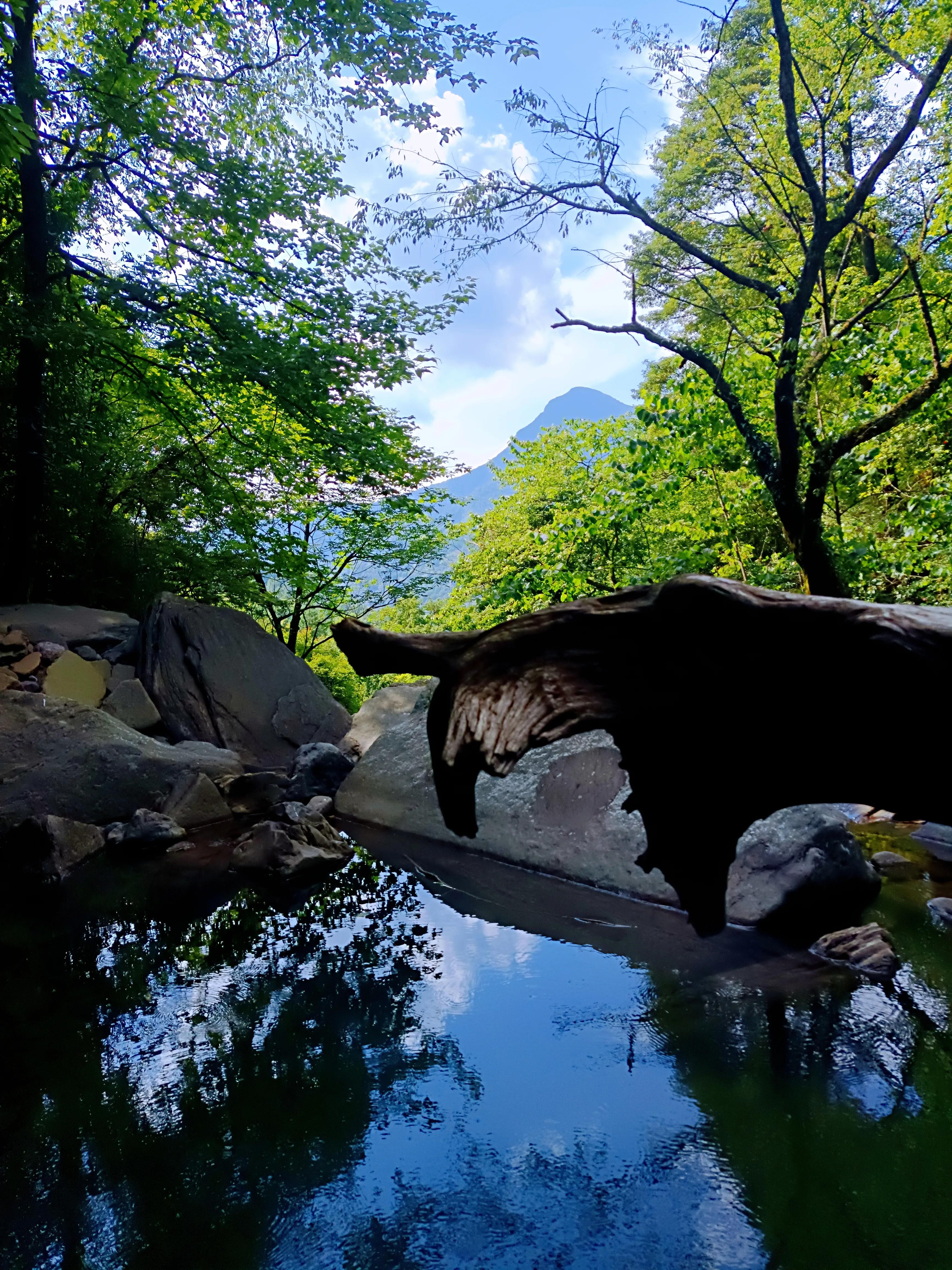 金佛山8月游详细攻略古佛洞,金佛山古佛洞地心之旅