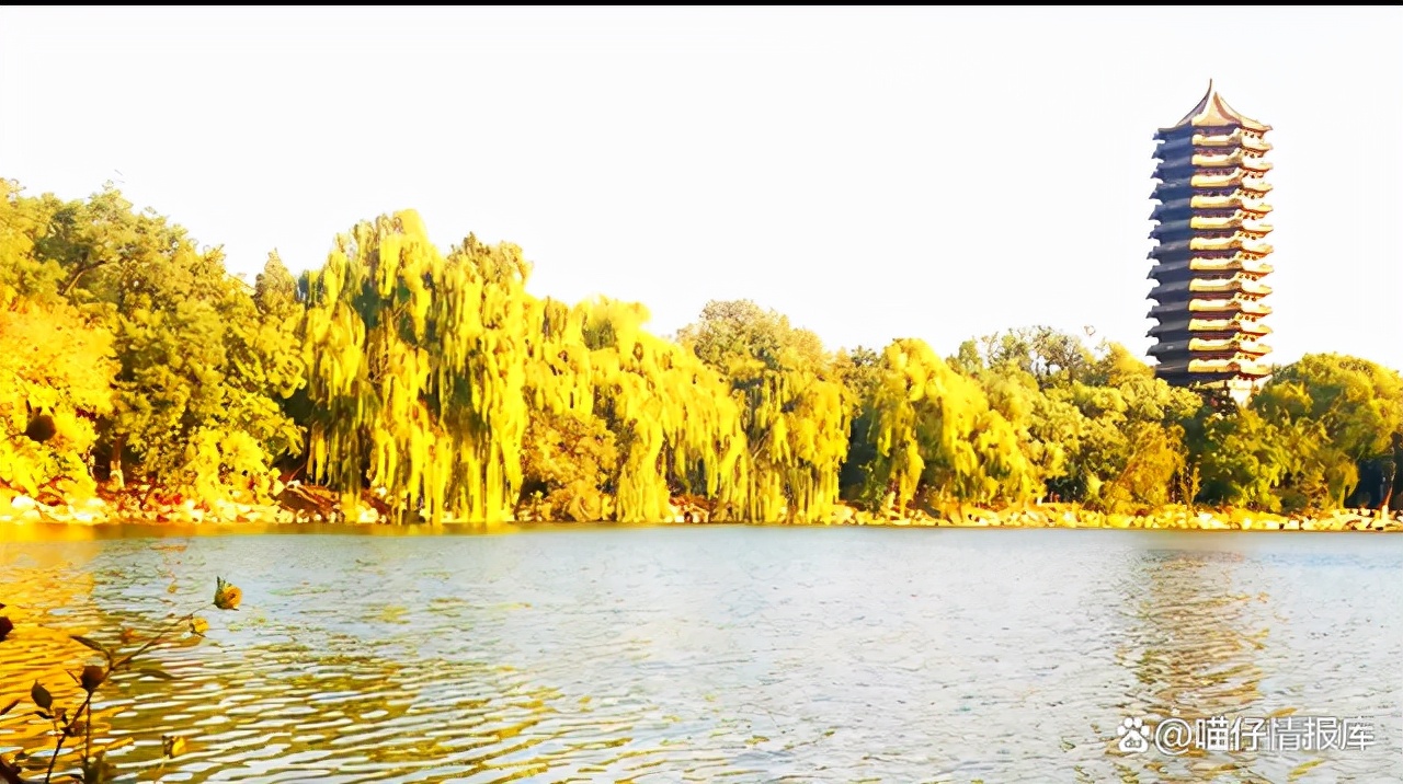 裸分上清北有多难,裸分上清北是什么意思