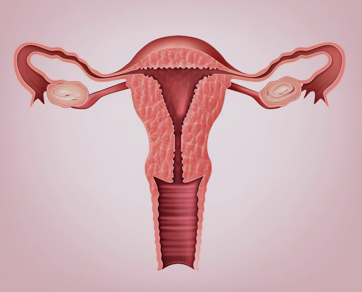 多大年龄子宫会萎缩，子宫萎缩对身体有什么影响？